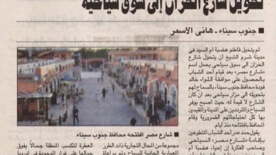 صورة مقال عن شارع مصر السياحي-الصحفي بجريدة الأهرام و الكاتب هاني الأسمر